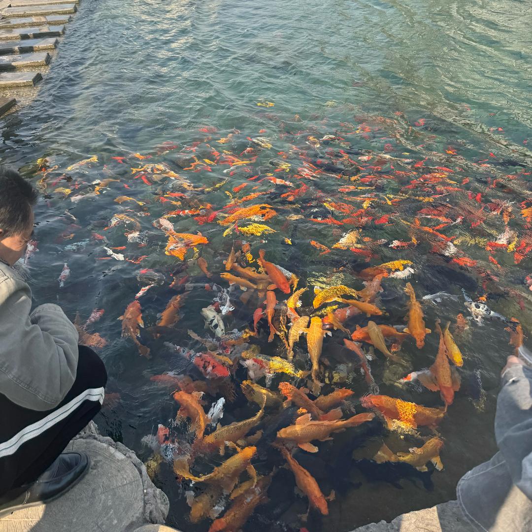 海边听Jay