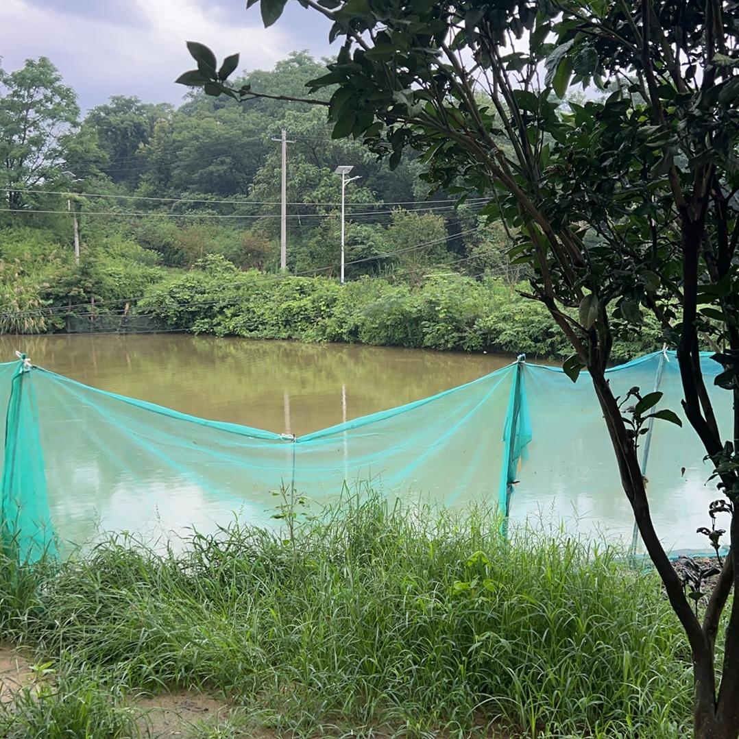 阿呆（23:10一帆百货）