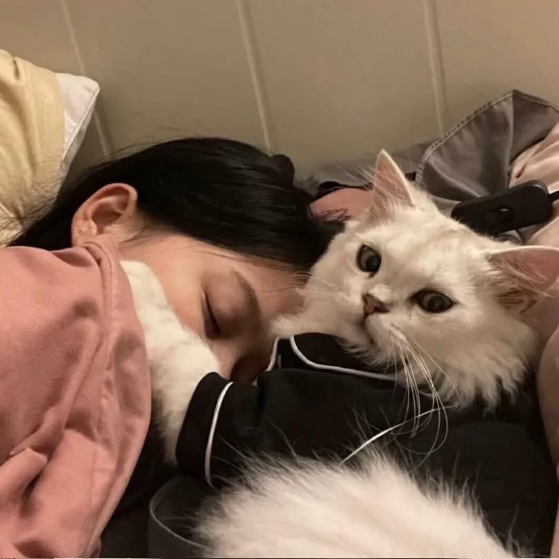 房东
