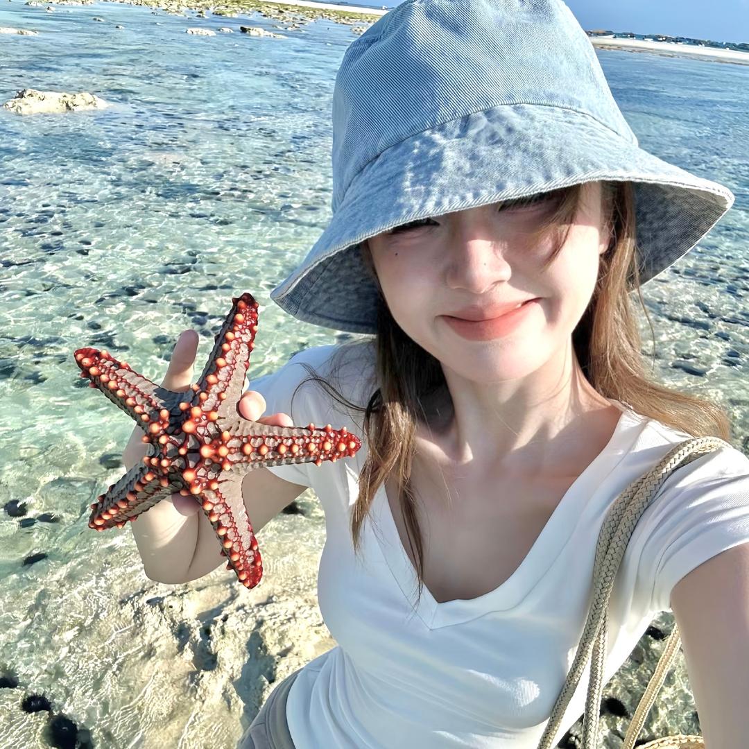 火宝宝的宝藏仓库