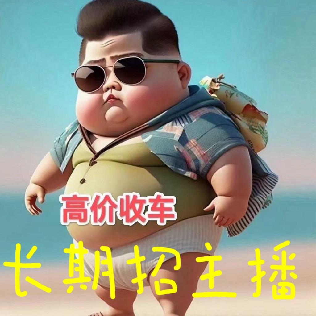 伟才二手小货车