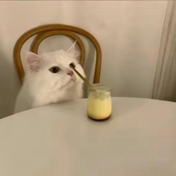 舟盖