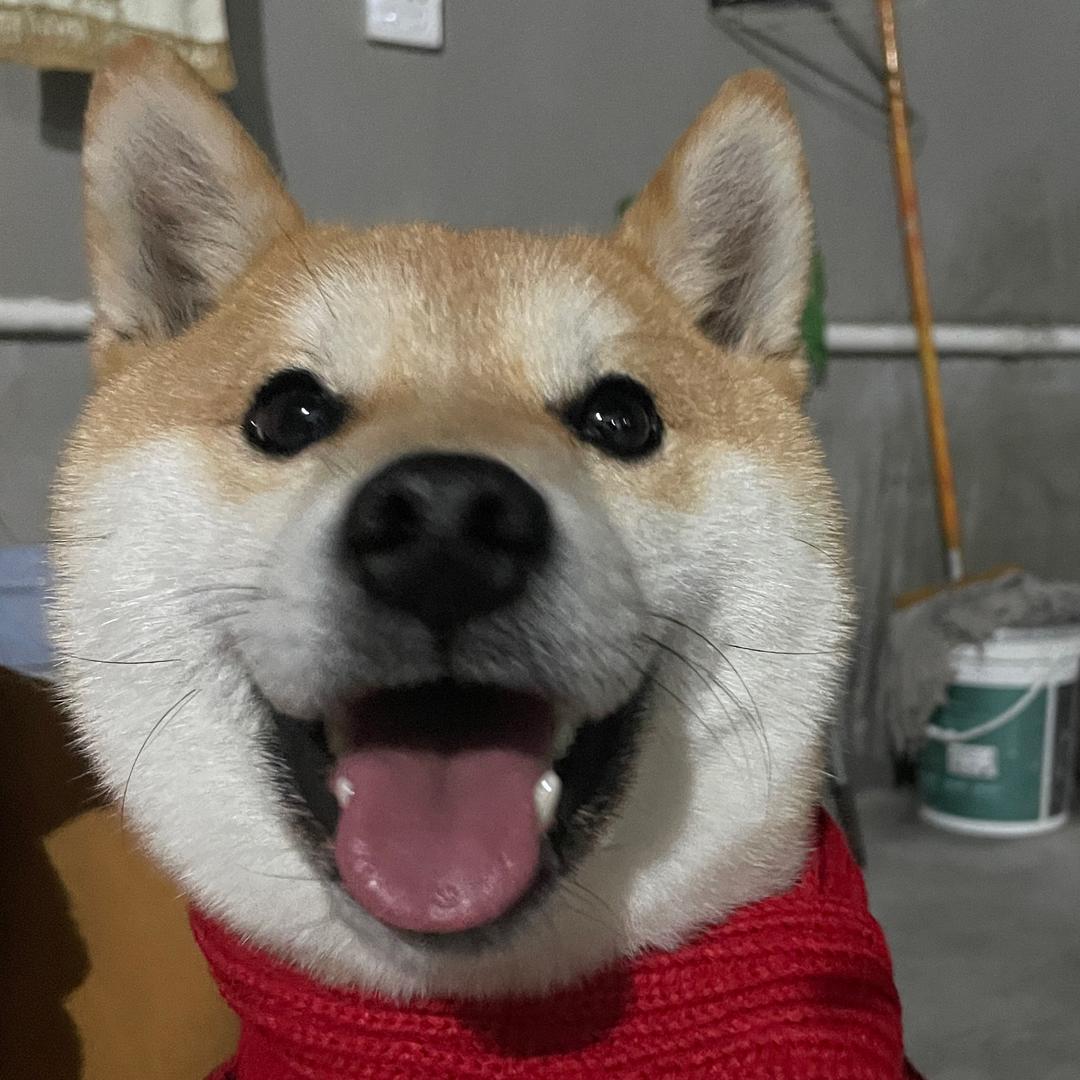 世间一束光