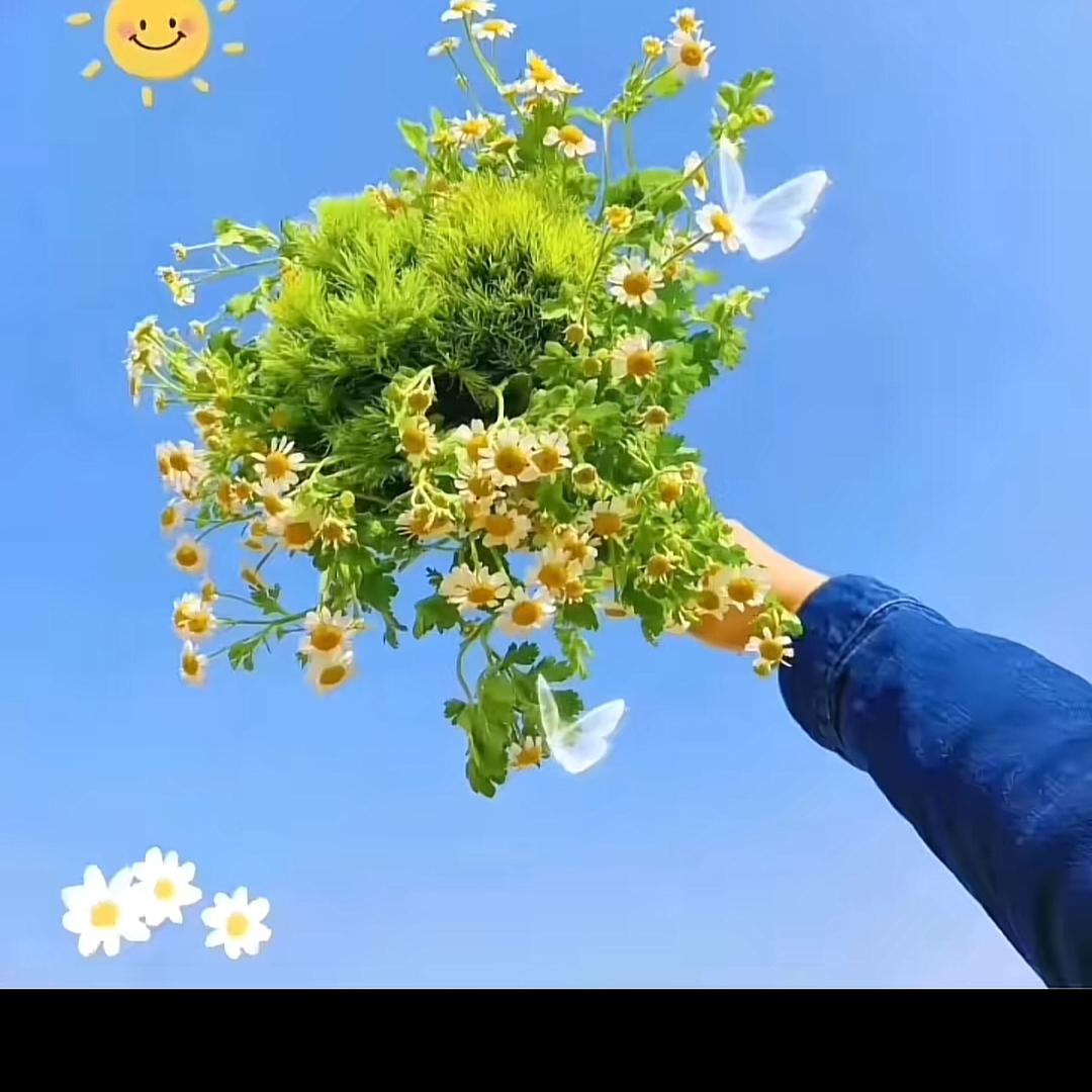 笑皱了眉