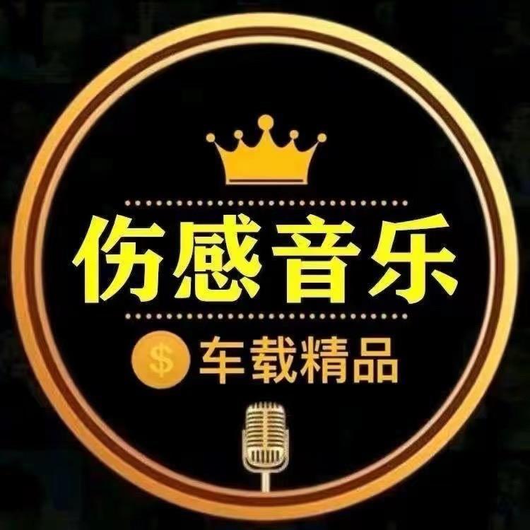雨芯伤感音乐库【🉑️购优盘】