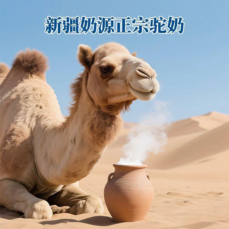 新域名驼源头工厂