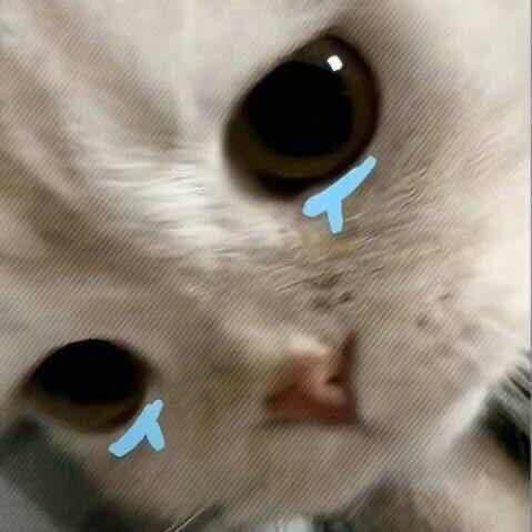 荡秋千^ ^