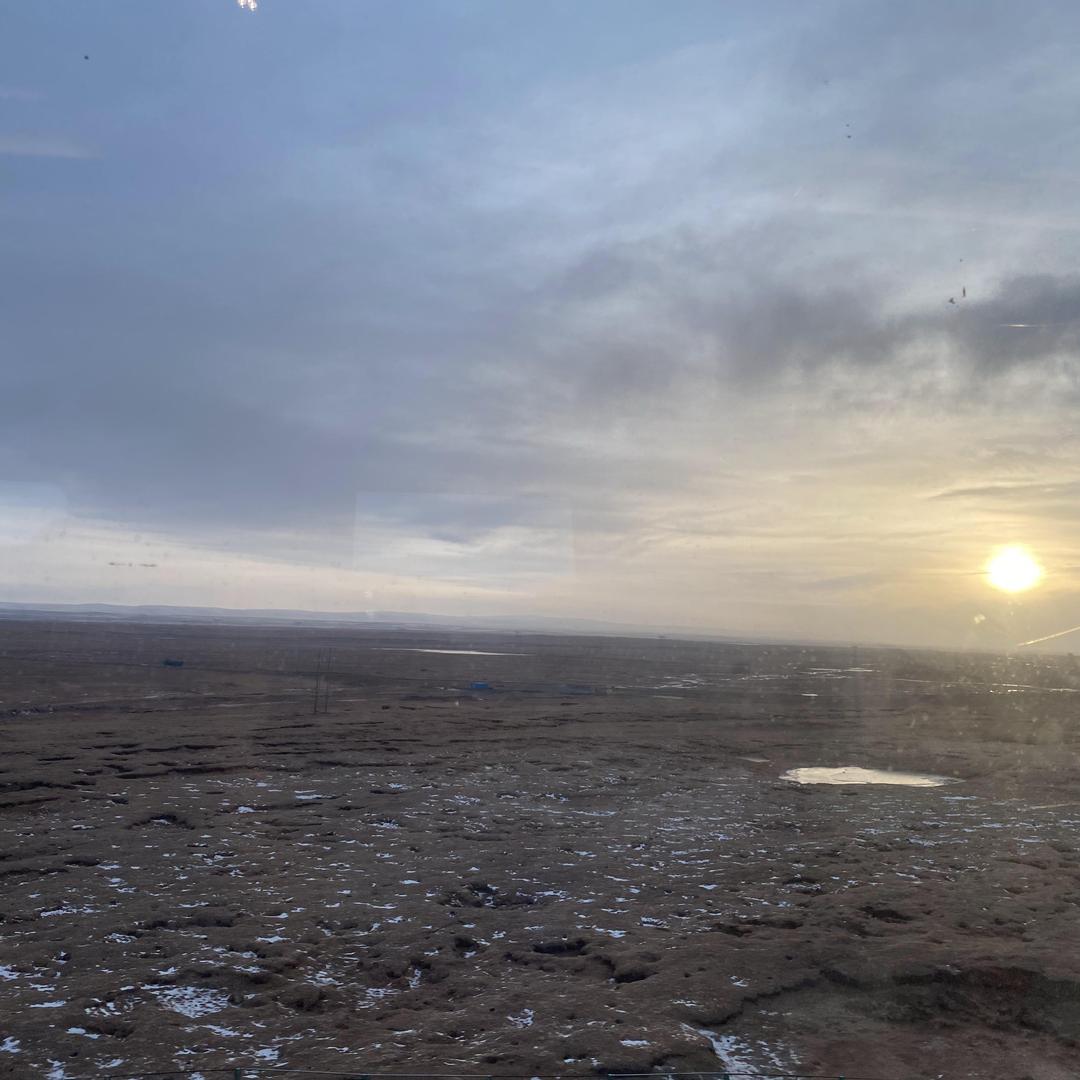 上海匝国头团队直播号