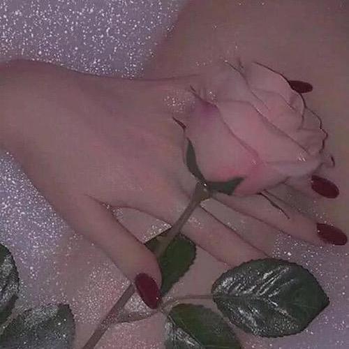 玫瑰酱