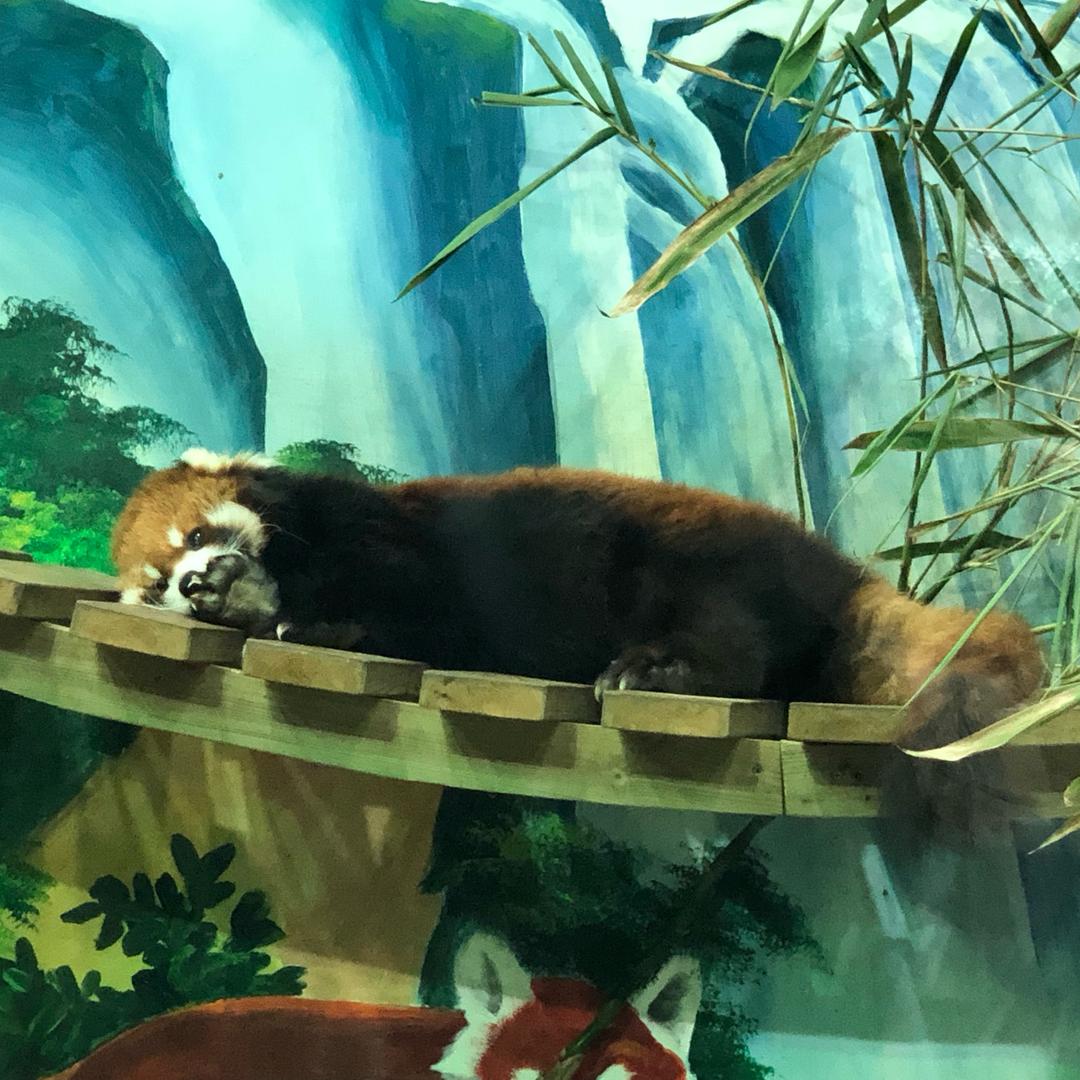 语晗