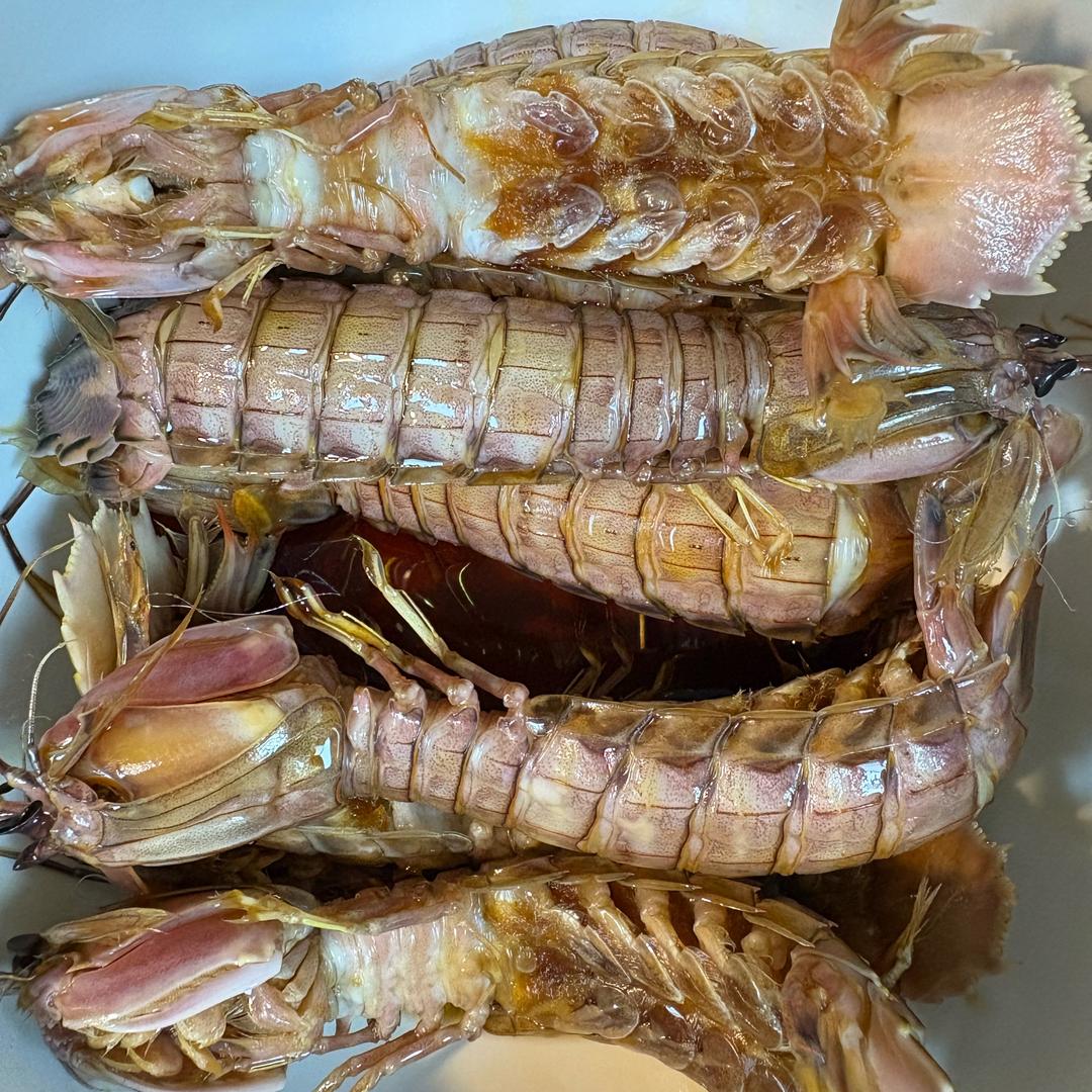 🐲🦞龙虾🦞🦐哥