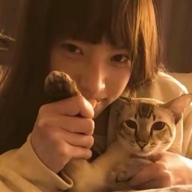 茹茹（组局版）