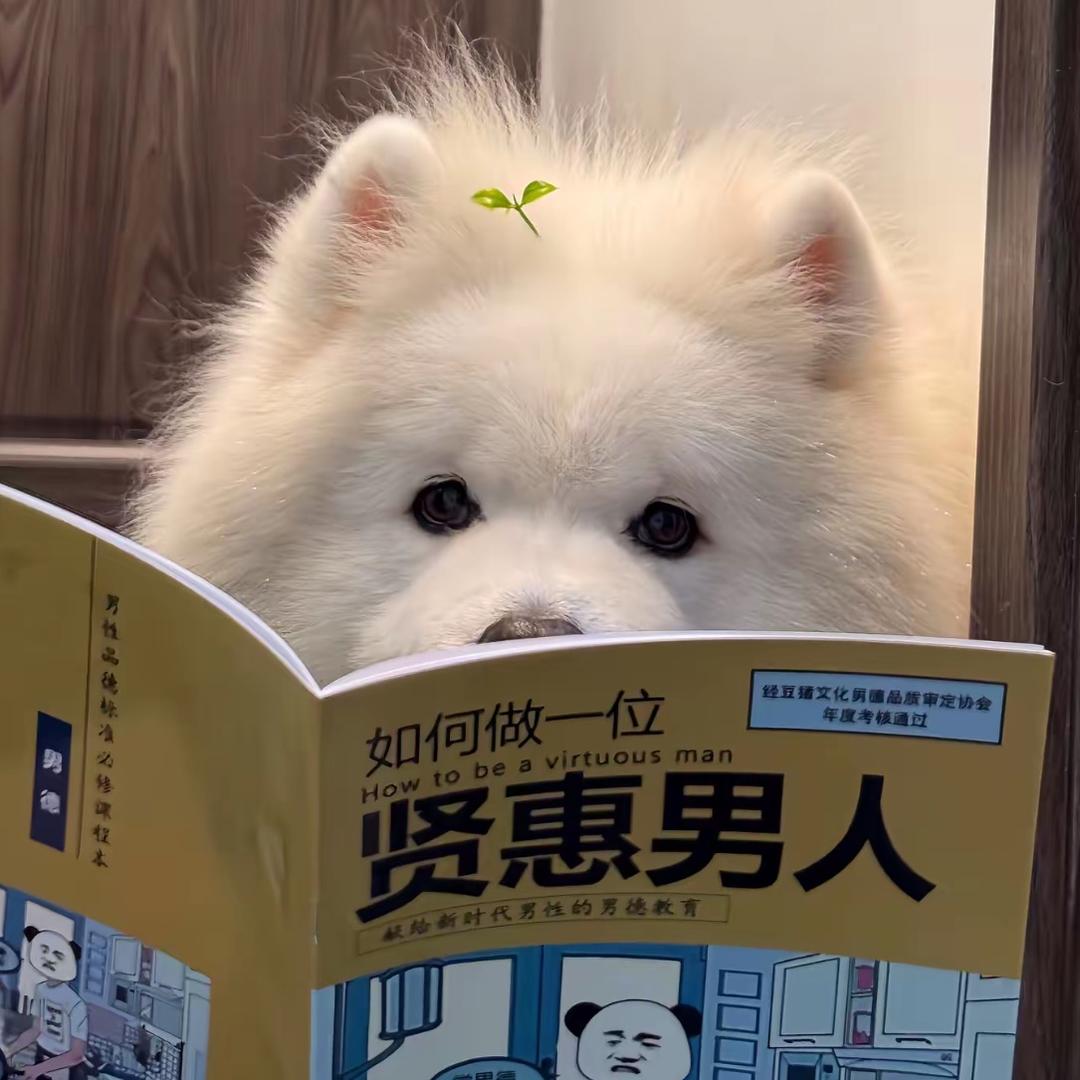 阿诚.