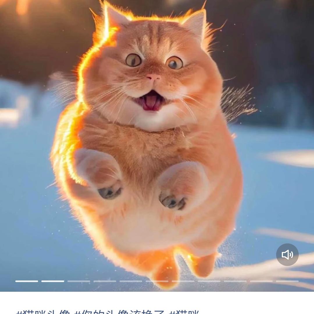 致青春