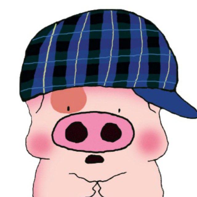 porco