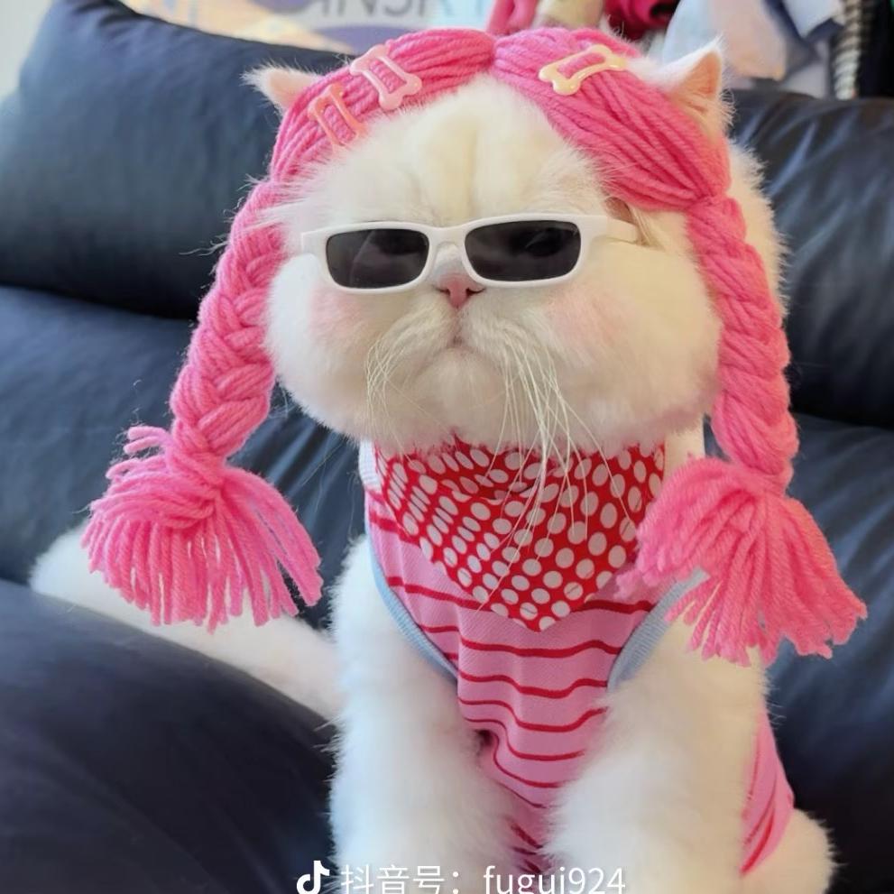 。。。。头像