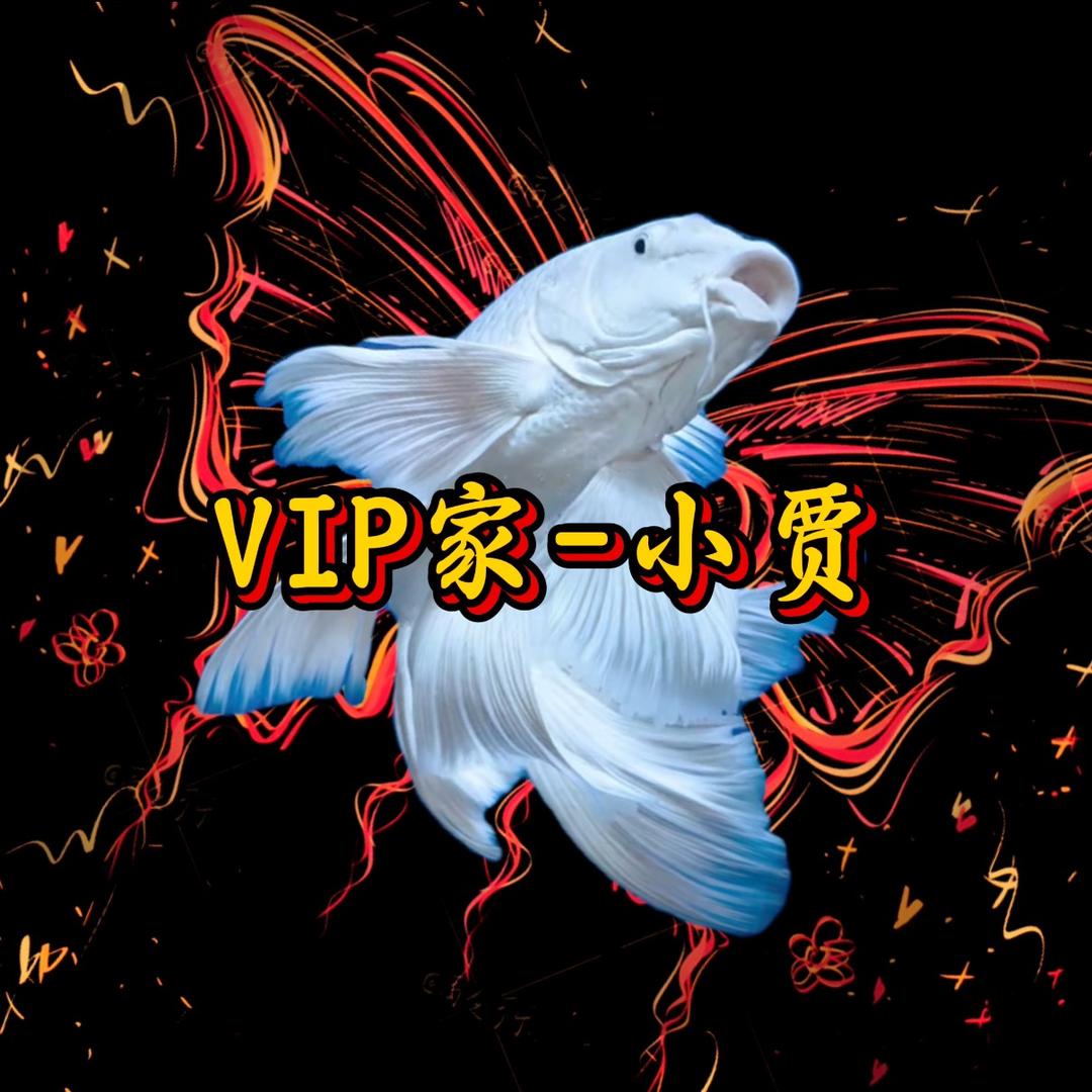 VIP家小贾蝴蝶鲤