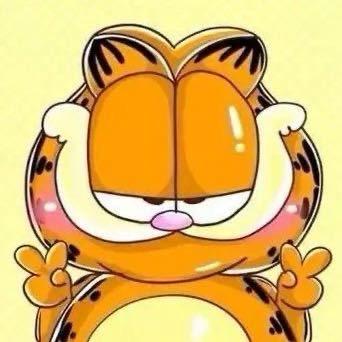 加菲猫🐱