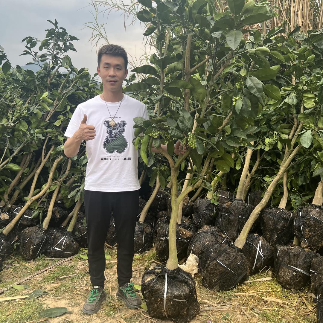 新大地果树苗木基地