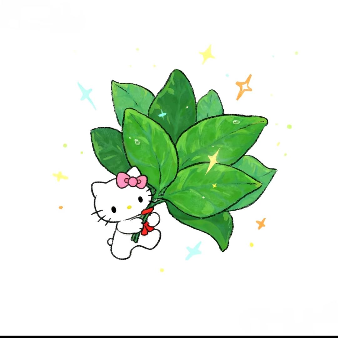 ✨卷卷✨