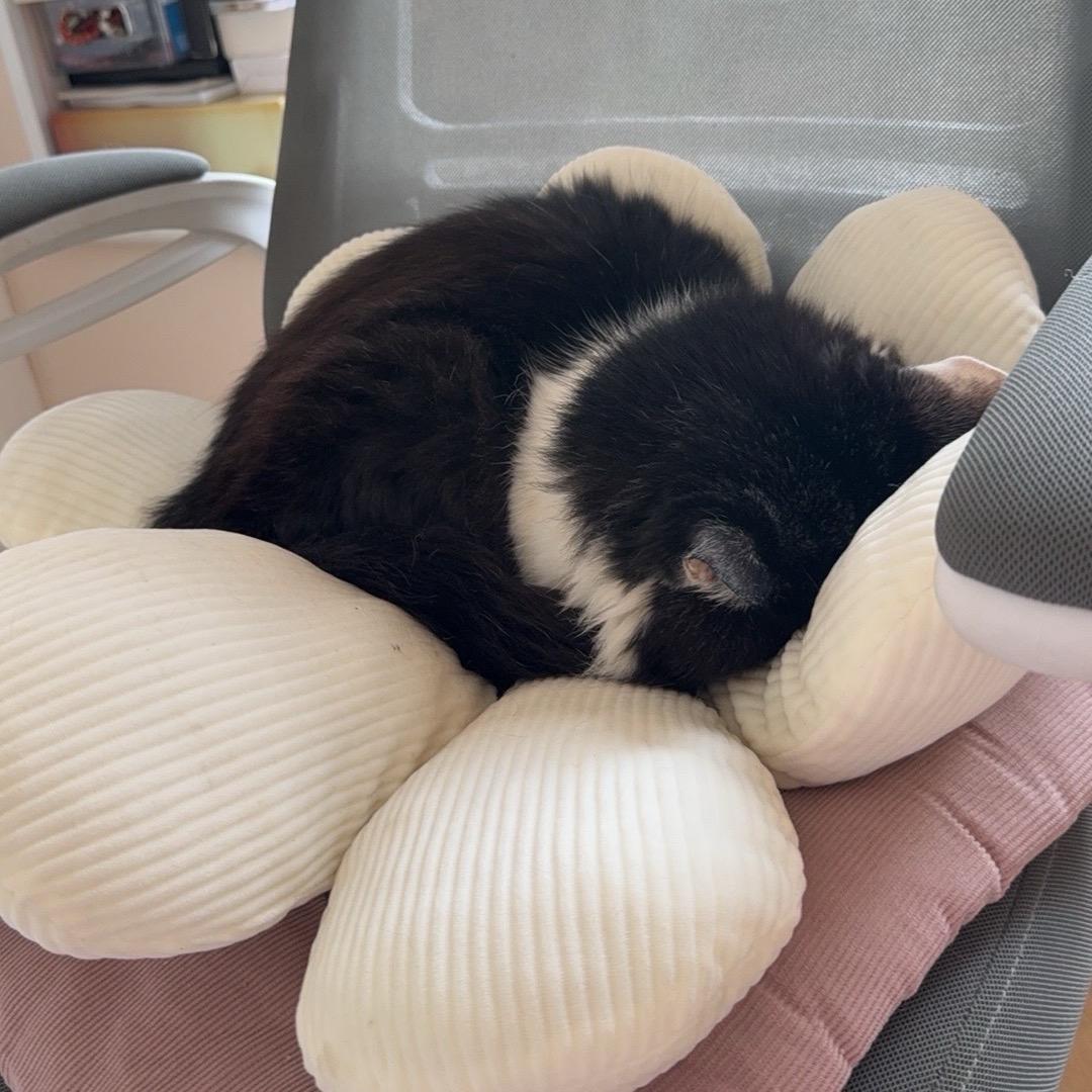 七七七七大大大