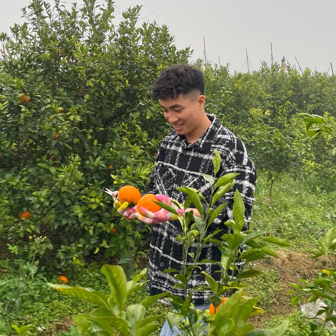 大南回村记