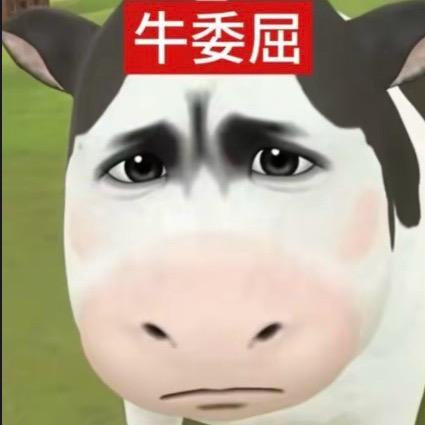 4k纯帅樱桃小完犊