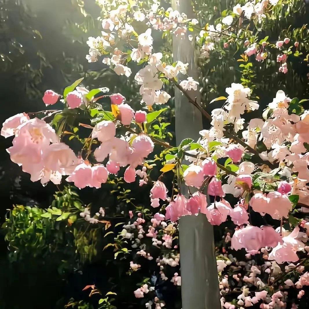 幸福美满家