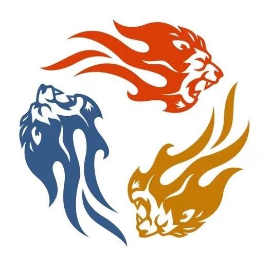 大流圈-短视频矩阵