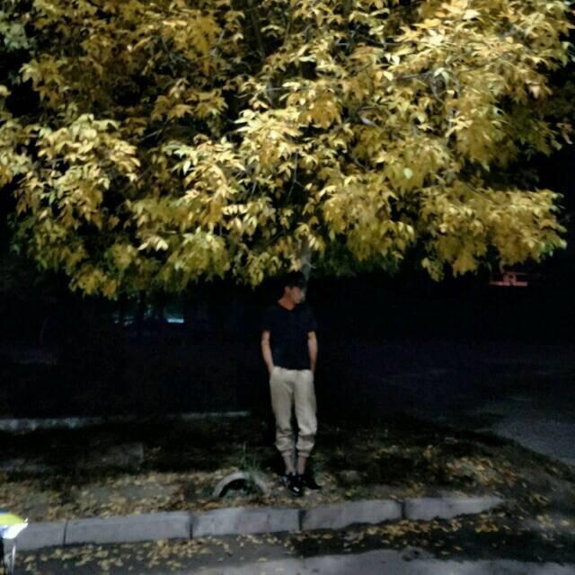 自由