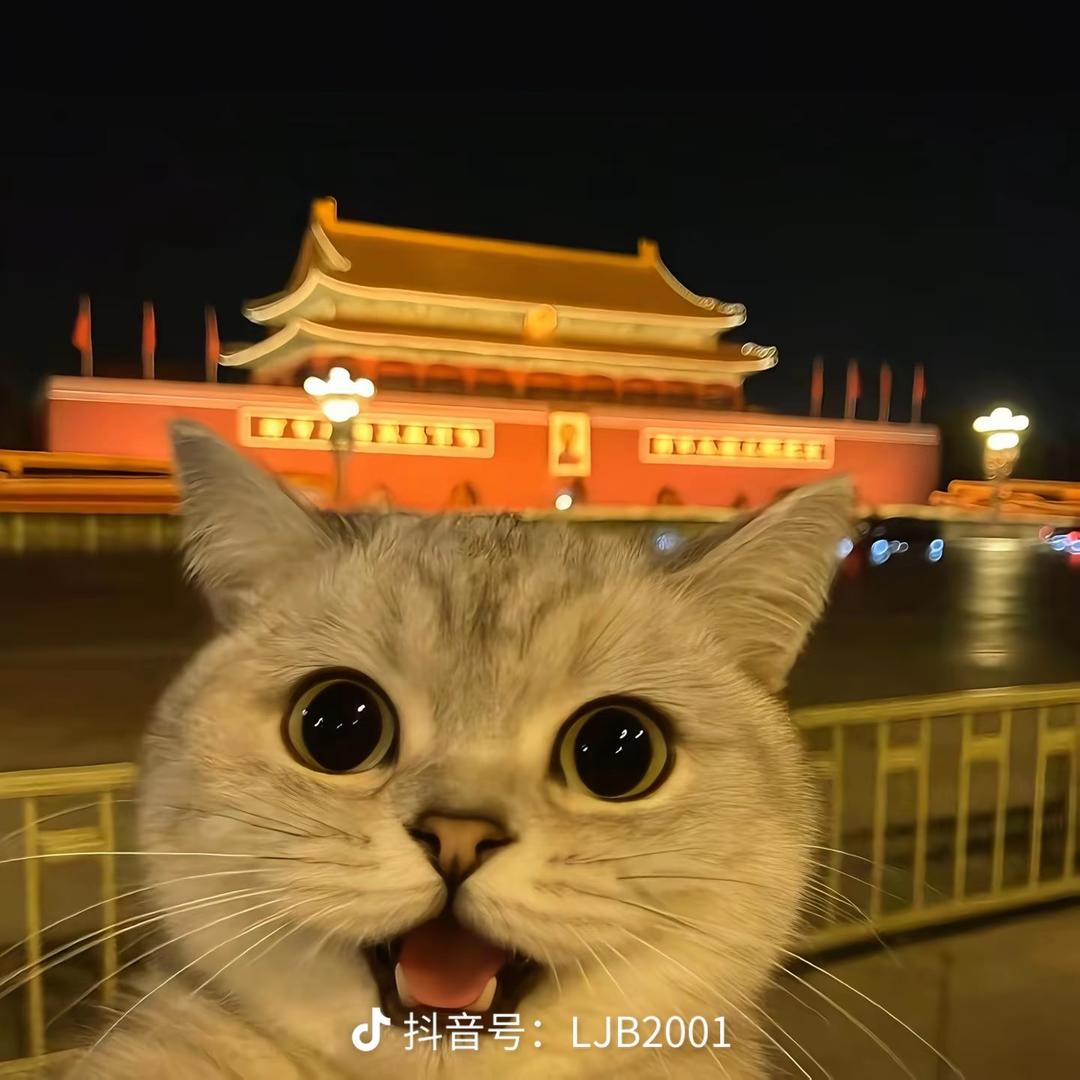 南通海扬缝纫工服务