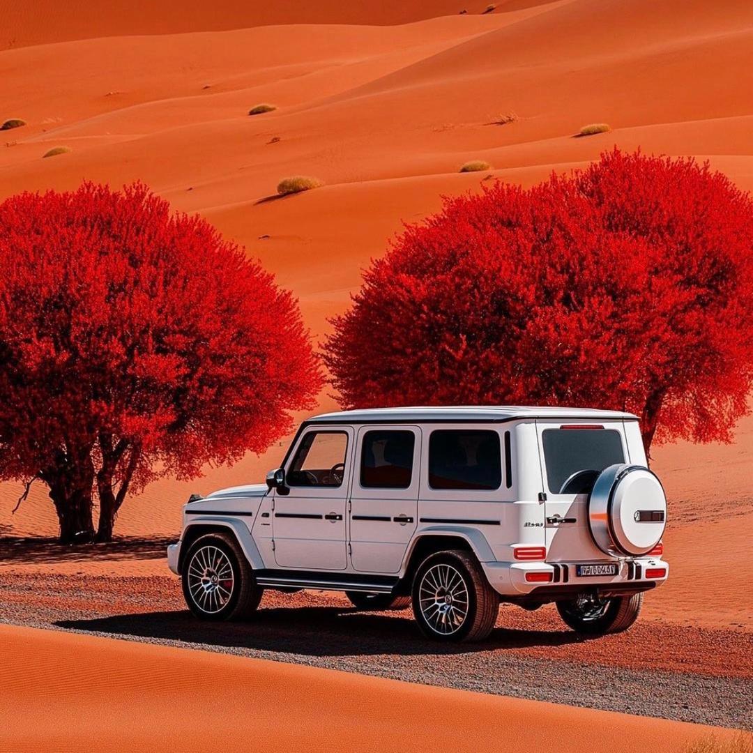 命途新能源电车经营部