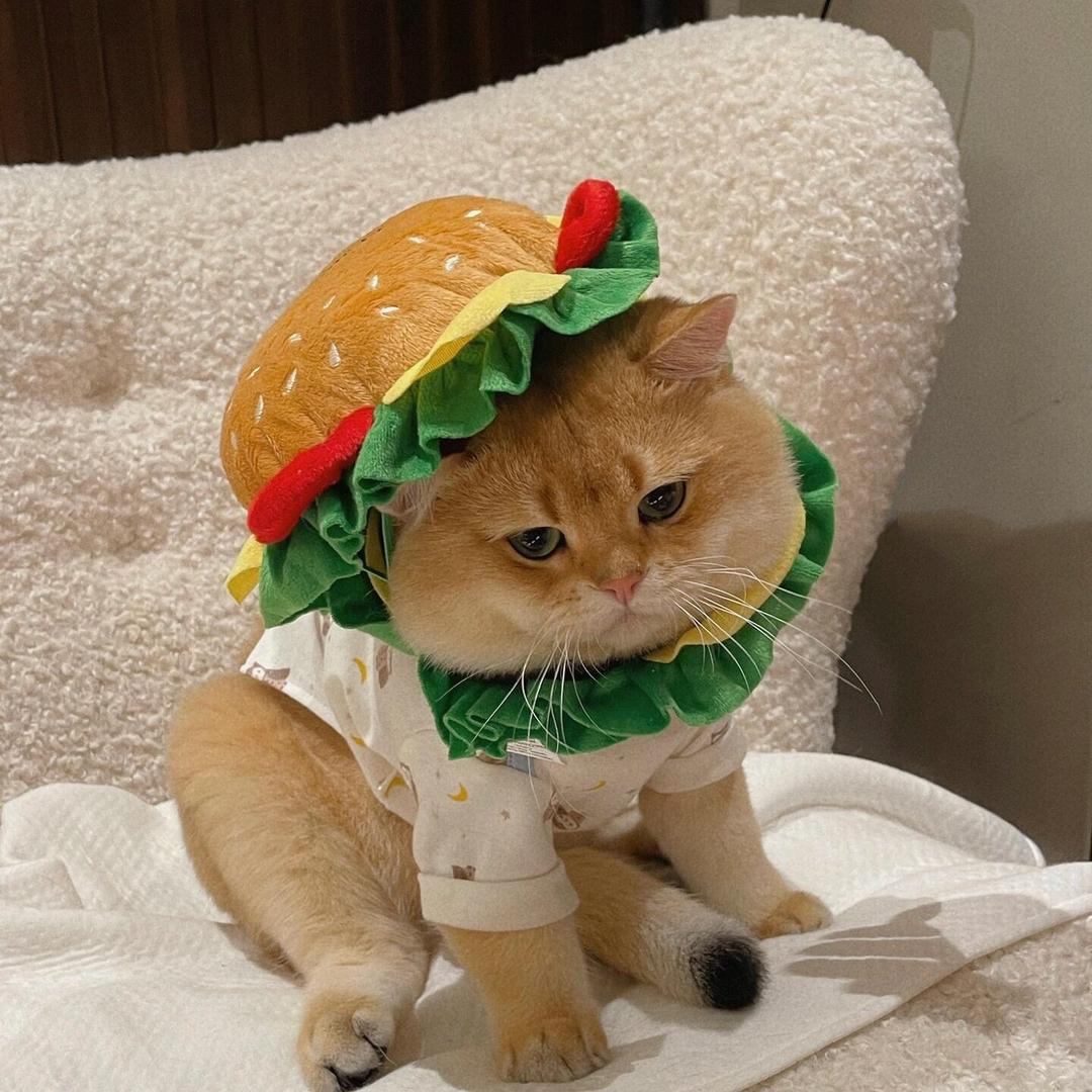 困成一团棉花糖