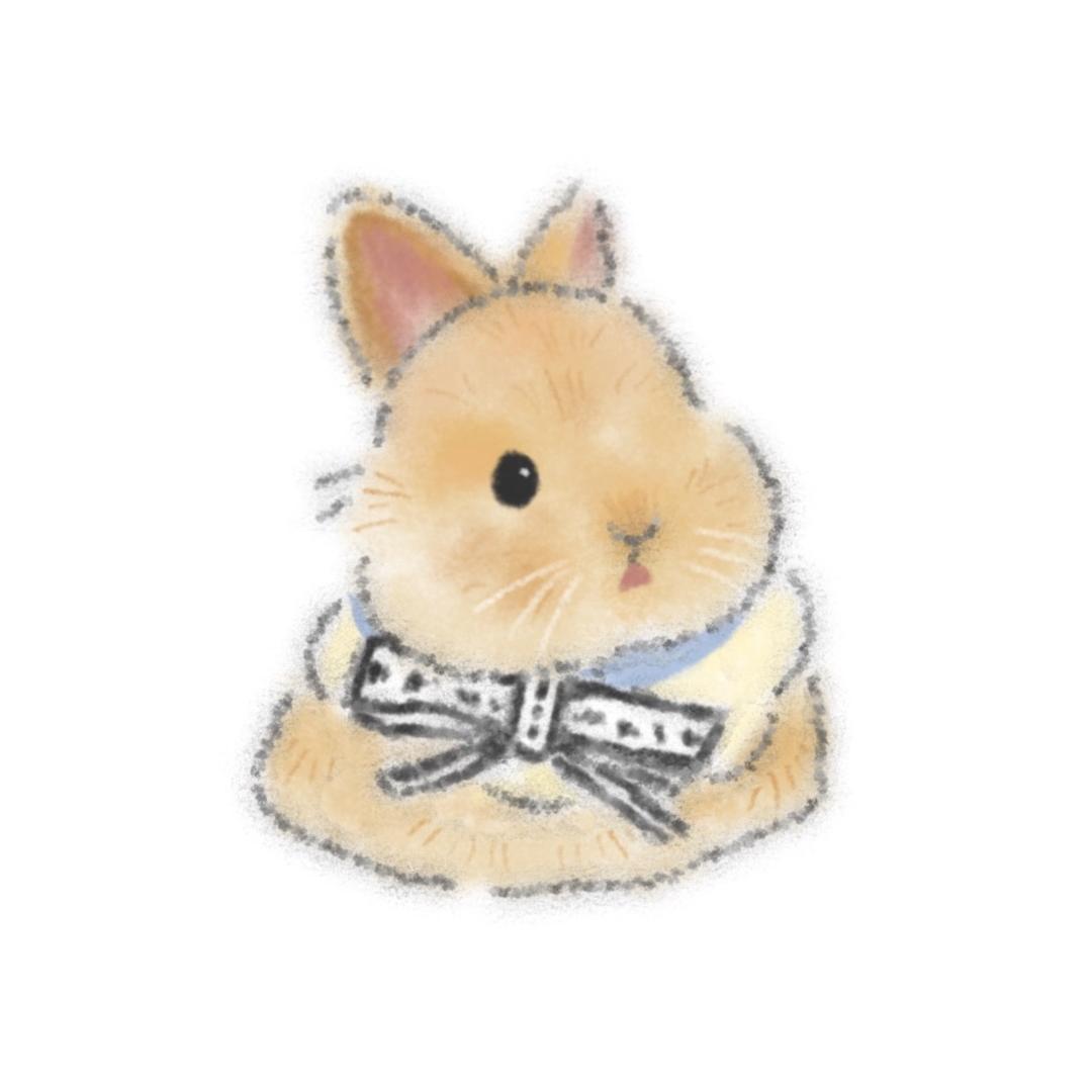 seven兔子🐰