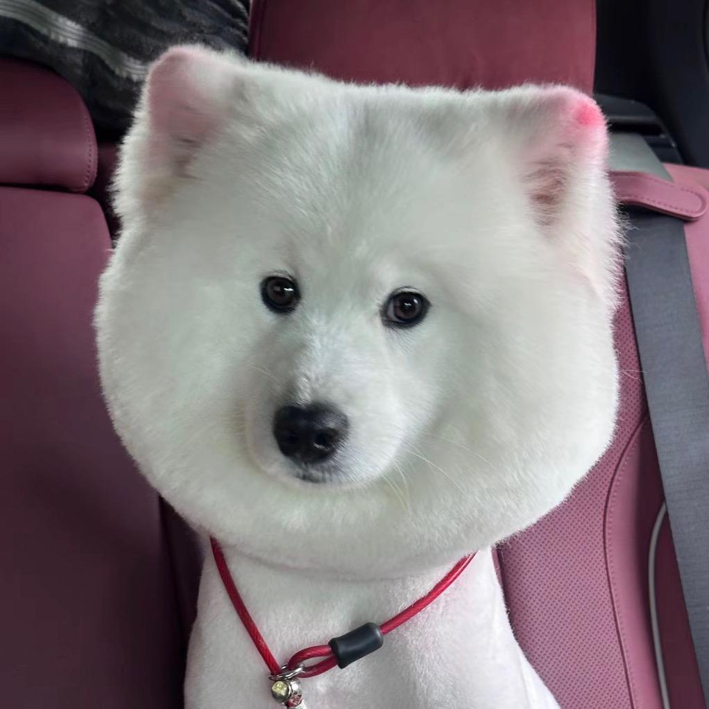香了个菜~