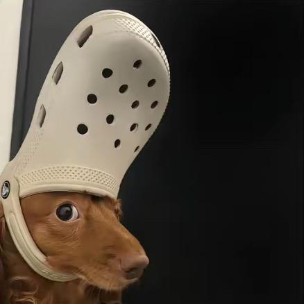 你真好看