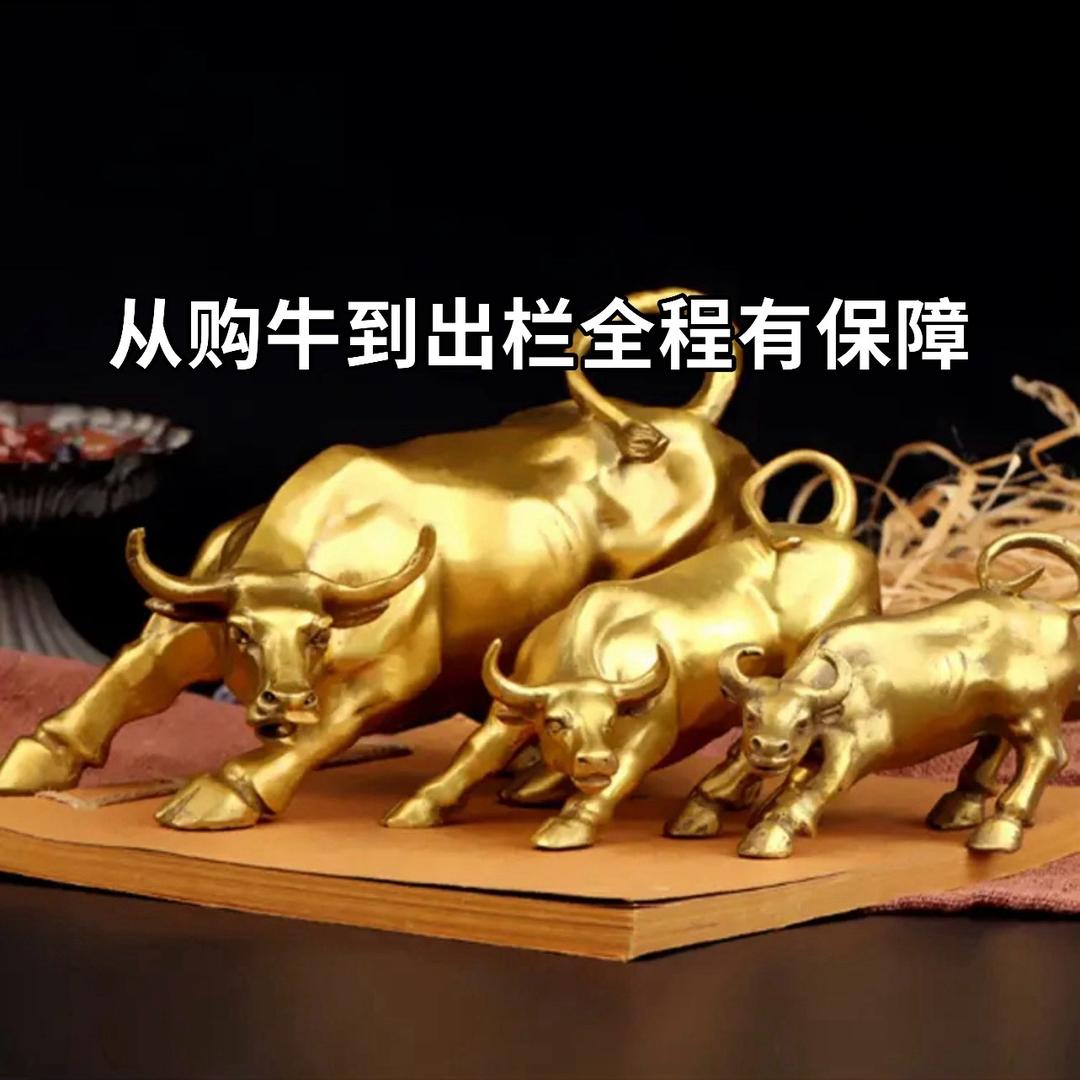 鹏鹏在牛市