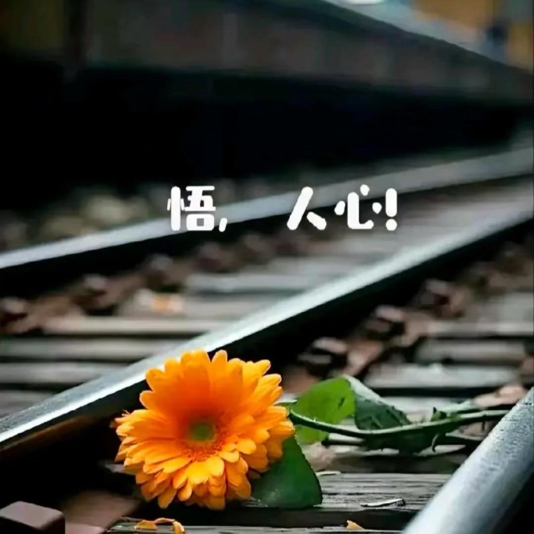 钰你说