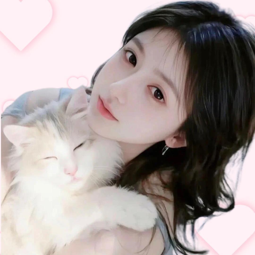 十一💫