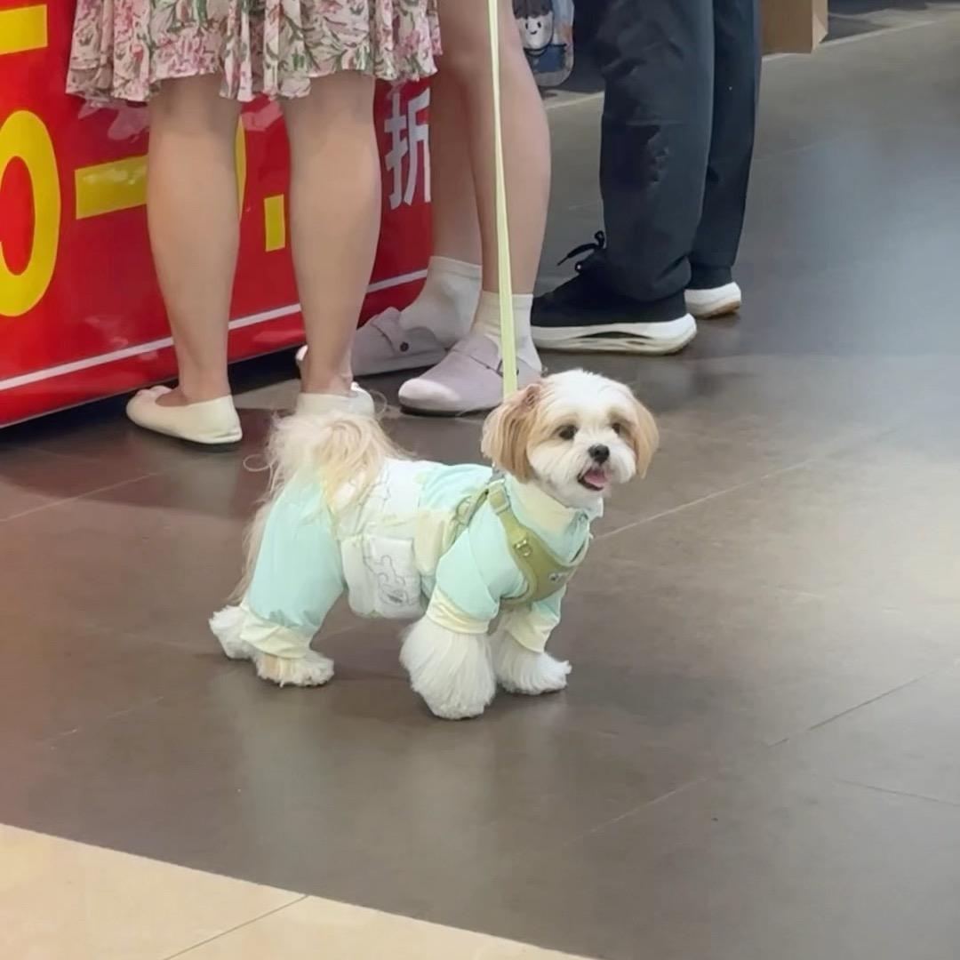 牛牛牛牛🐮
