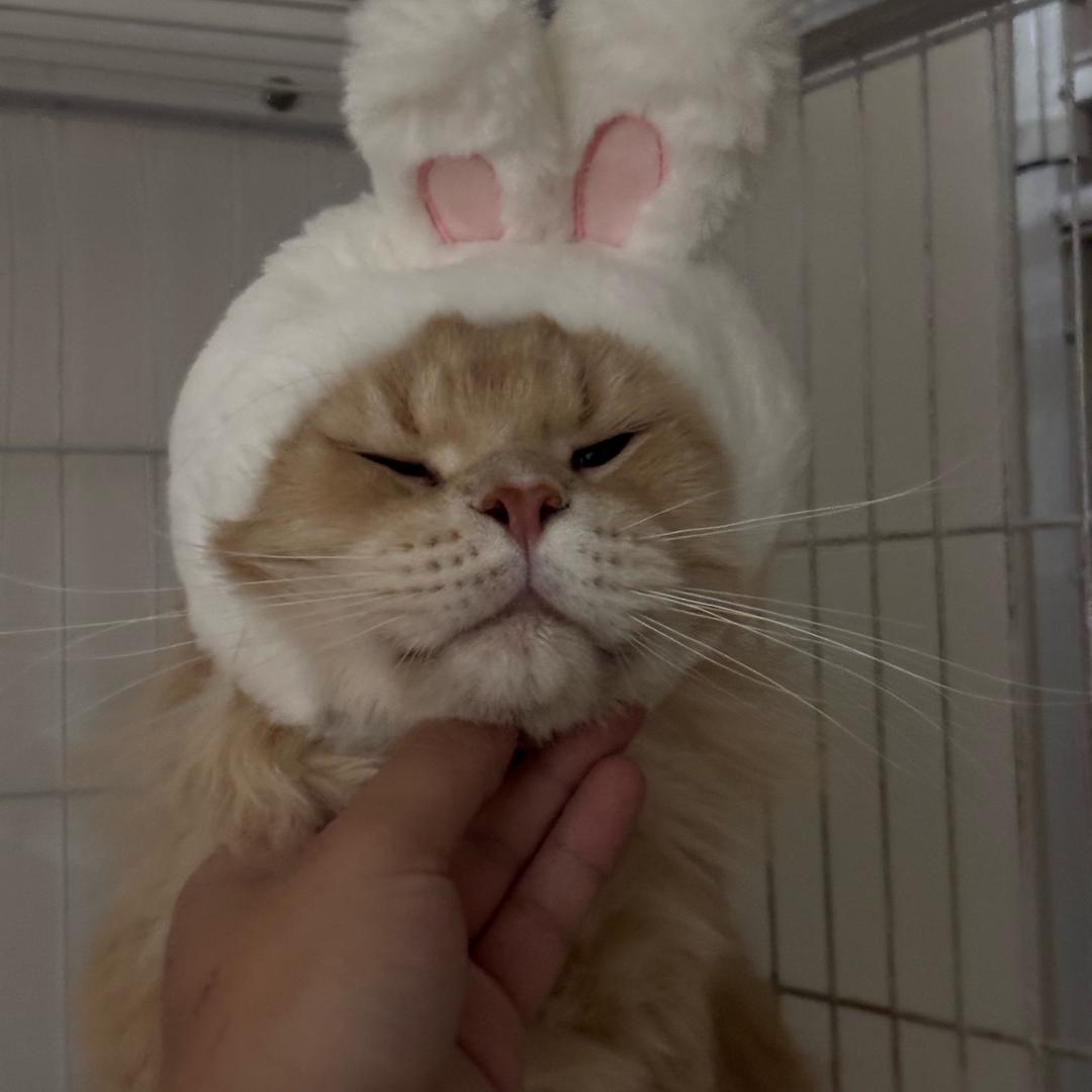 酷乐通讯 手机回收 维修