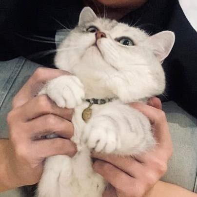 似如心