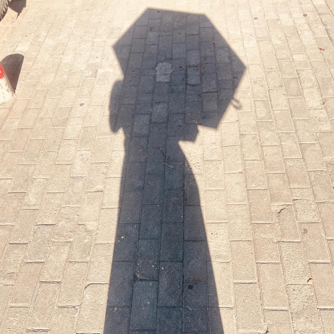 从前追晚风的人