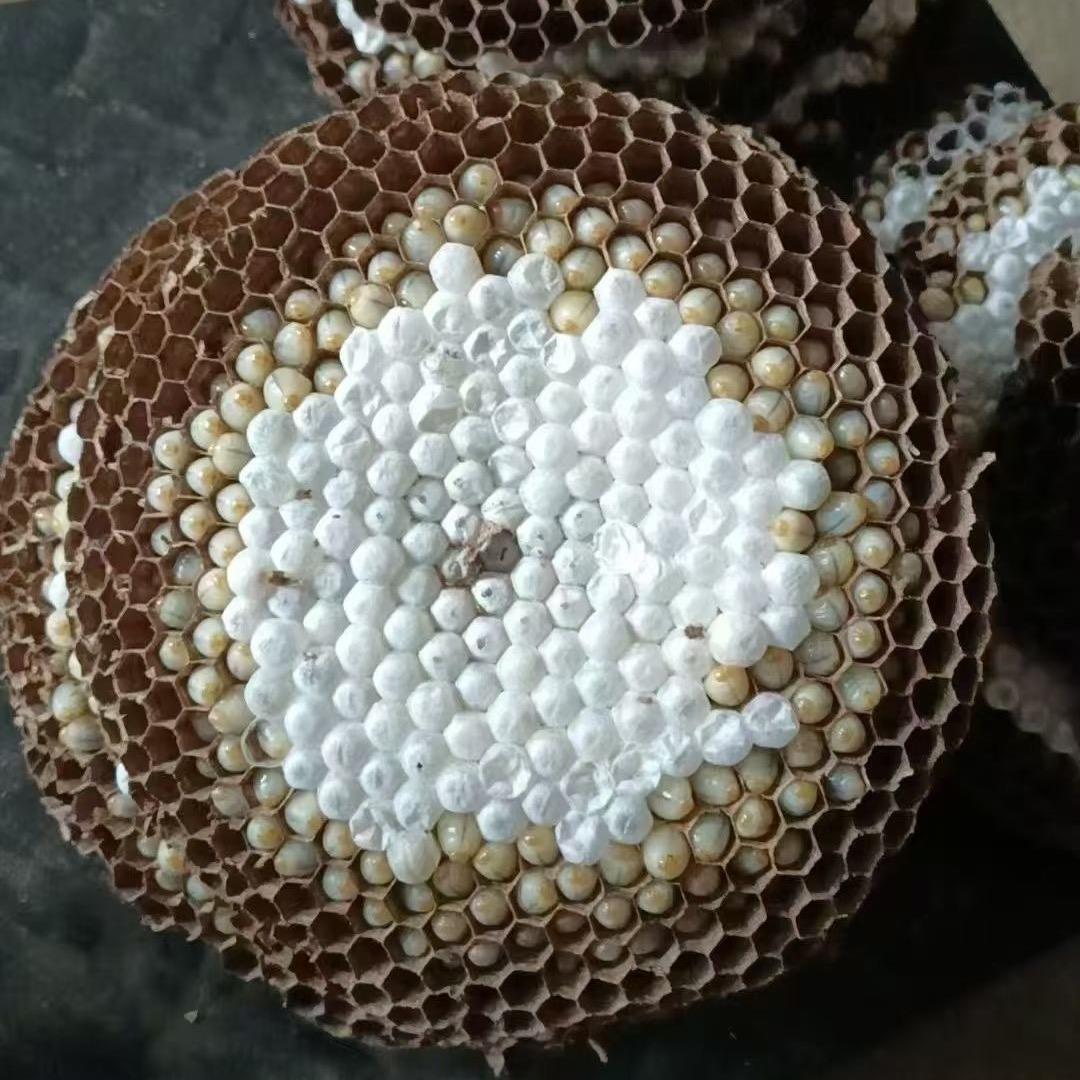 小熊货运