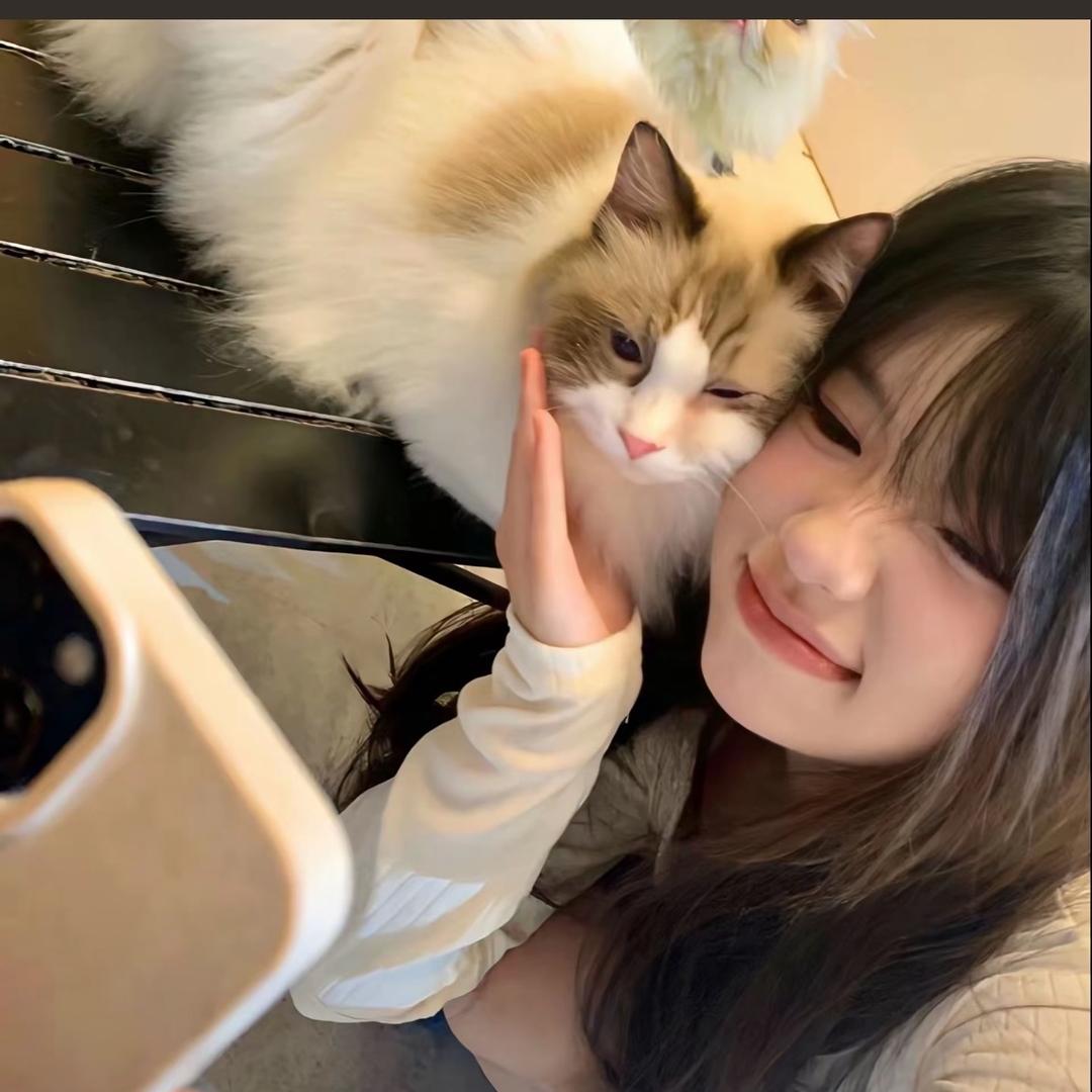 -爱吃香菜-
