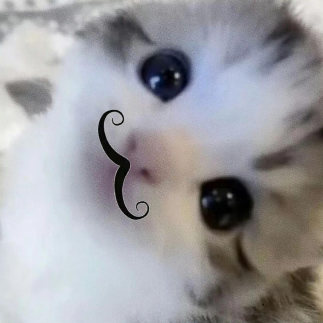 你超可爱^