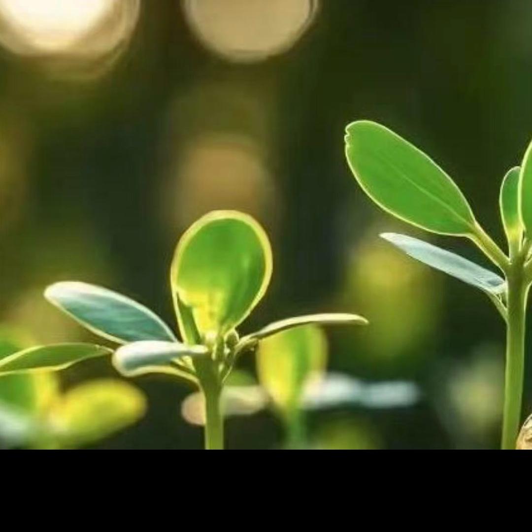 优样百货  二号店