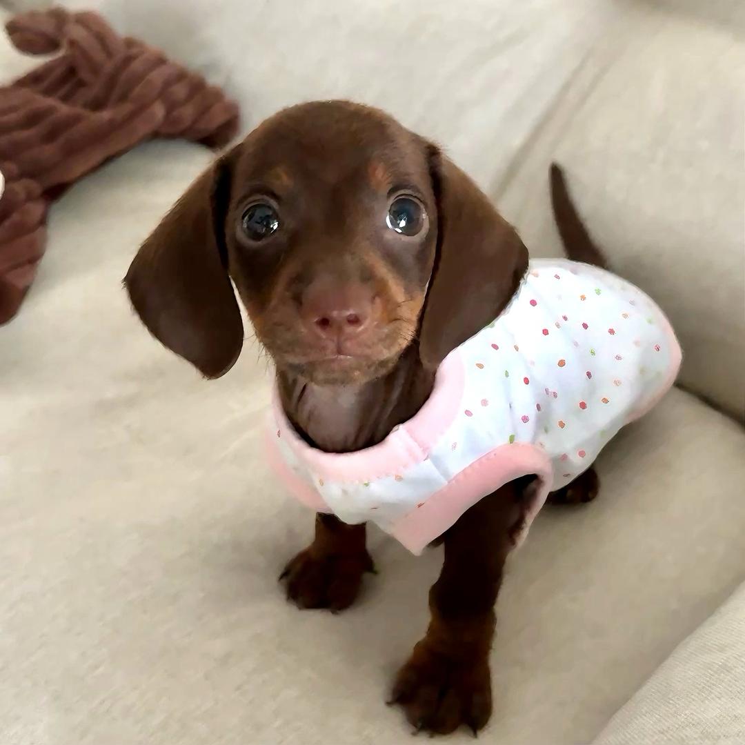 Peachykeen