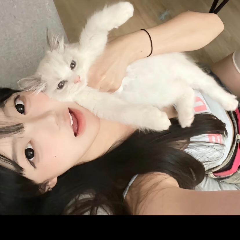 我恨三毛仔