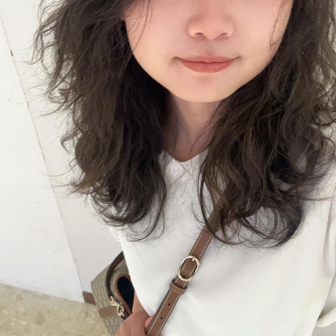 呆呆兽
